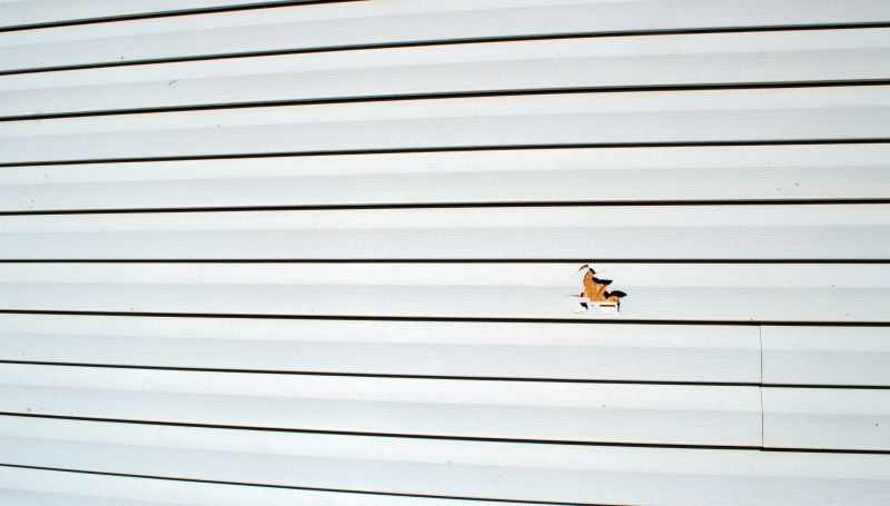 Siding Damage Inspection